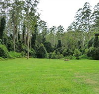 Kerewong State Forest - Accommodation Gold Coast