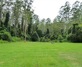 Kerewong State Forest - Accommodation Gold Coast 0