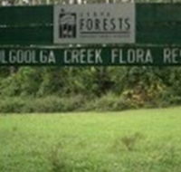 Woolgoolga Creek Flora Reserve - 1 Gold Coast