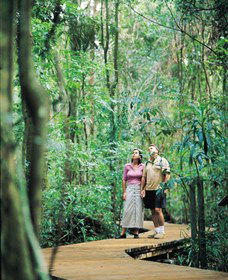 Victoria Park Nature Reserve - Accommodation Gold Coast 1