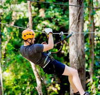 TreeTop Challenge Currumbin - Accommodation Gold Coast