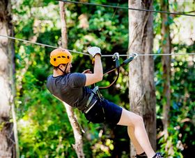 TreeTop Challenge Currumbin - Accommodation Gold Coast 0