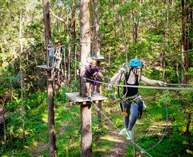 TreeTop Challenge Currumbin - Accommodation Gold Coast 1