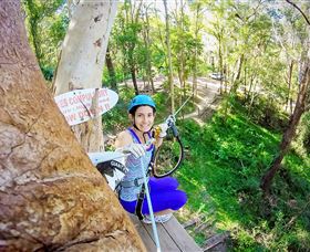 TreeTop Challenge Currumbin - Accommodation Gold Coast 3