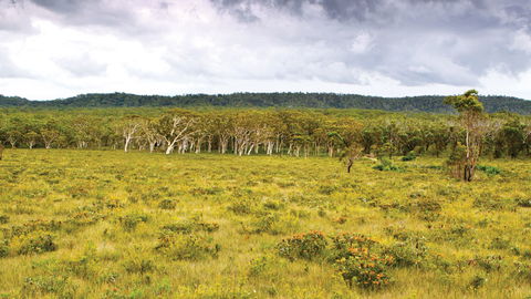Yuraygir National Park - Accommodation Gold Coast 0
