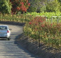 Cassegrain Wines - Accommodation Gold Coast