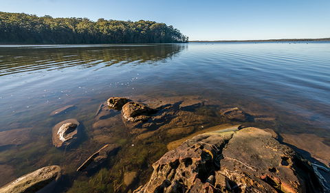 Queens Lake Nature Reserve - Accommodation Gold Coast 0