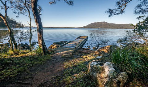 Queens Lake Nature Reserve - Accommodation Gold Coast 1