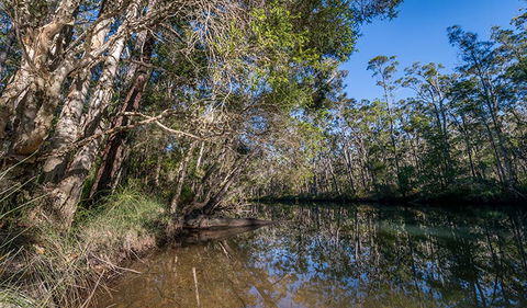 Queens Lake Nature Reserve - Accommodation Gold Coast 3