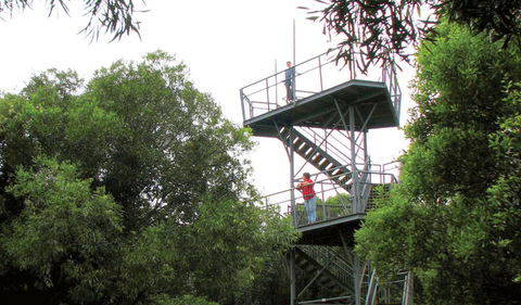 Cape Hawke Lookout - Gold Coast 4U 0
