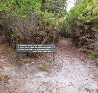 Angophora grove walking track - Accommodation Gold Coast