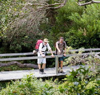 Wilsons Headland walking track - Accommodation Gold Coast