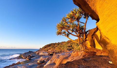 Angourie To Brooms Head - Accommodation Gold Coast 1