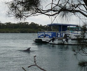 Dunbogan Boatshed - Accommodation Gold Coast 2