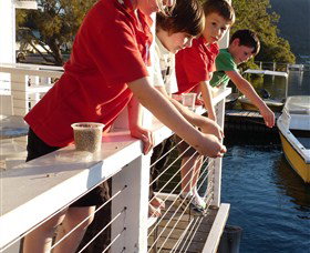 Dunbogan Boatshed - Accommodation Gold Coast 3