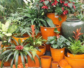 Diamond Waters Garden Nursery - Accommodation Gold Coast 1