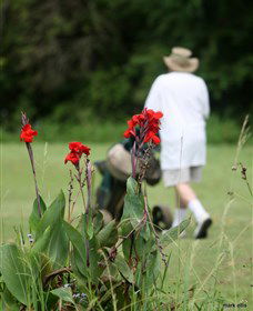Teven Valley Golf Course - Accommodation Gold Coast 3