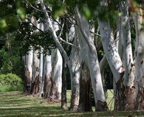 Teven Valley Golf Course - Accommodation Gold Coast 1
