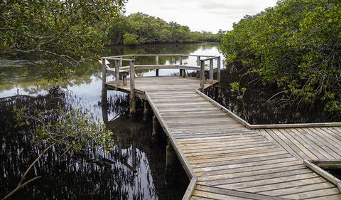 Walk On Water Walking Track - 1 Gold Coast 1