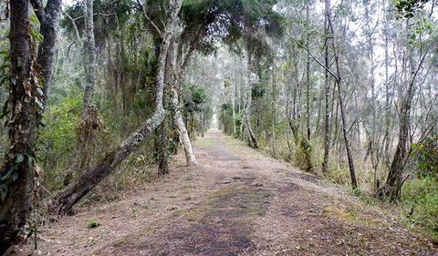 Walk On Water Walking Track - 1 Gold Coast 2