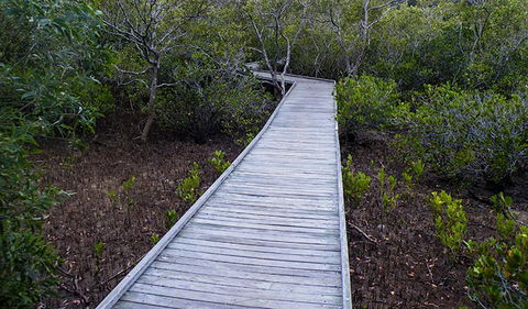 Walk On Water Walking Track - 1 Gold Coast 3
