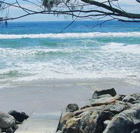 Shark Bay - Accommodation Gold Coast