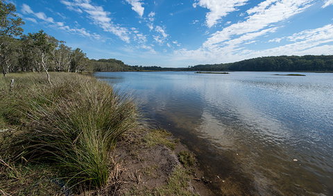 Lake Innes Nature Reserve - 1 Gold Coast 1