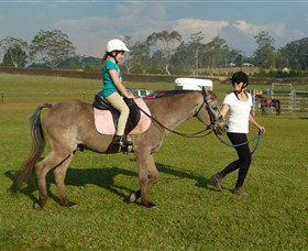 Port Macquarie Horse Riding Centre - Accommodation Gold Coast 0