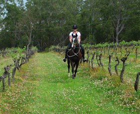 Port Macquarie Horse Riding Centre - Accommodation Gold Coast 1