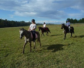 Port Macquarie Horse Riding Centre - Accommodation Gold Coast 5