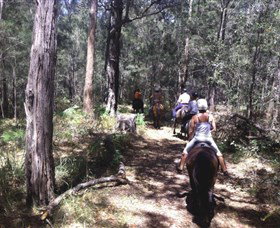 Port Macquarie Horse Riding Centre - Accommodation Gold Coast 4