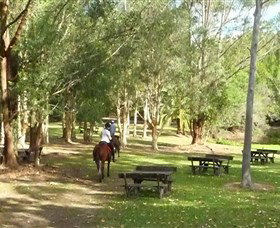 Port Macquarie Horse Riding Centre - Accommodation Gold Coast 6