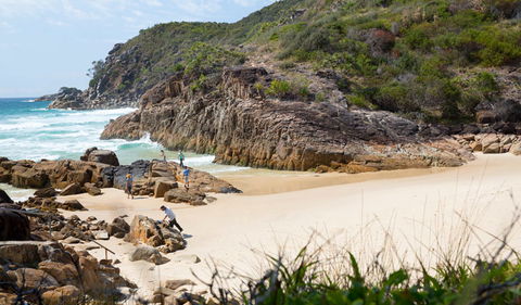 Little Bay Beach - 1 Gold Coast 3