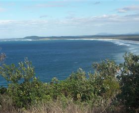 Delicate Beach - Accommodation Gold Coast 0