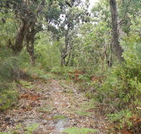 Kinchela Trig Lookout walk - Accommodation Gold Coast