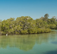 Tyagarah Nature Reserve - 1 Gold Coast