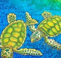 Sea Silks Gallery - Accommodation Gold Coast