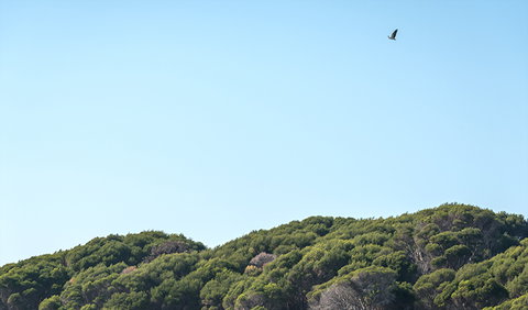 Terrace Beach And Lennards Island - Accommodation Gold Coast 1