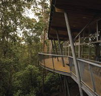 Tarkine Forest Adventures - Dismal Swamp - Accommodation Gold Coast