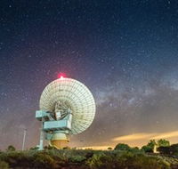 OTC Dish - Accommodation Gold Coast