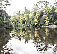 Arthur River - Accommodation Gold Coast