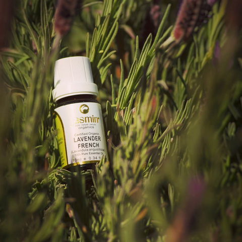Jasmin Organics Skincare Farm And Factory - Accommodation Gold Coast 7