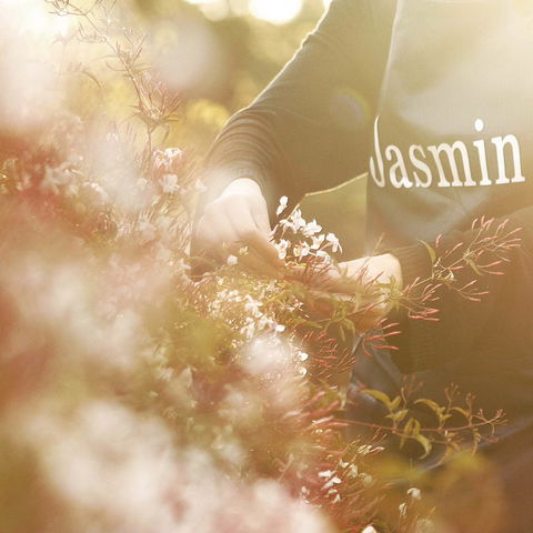 Jasmin Organics Skincare Farm And Factory - Accommodation Gold Coast 8