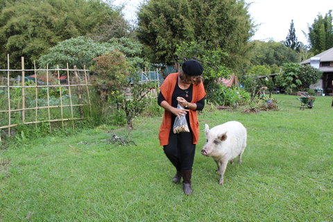 Djanbung Permaculture Gardens - 1 Gold Coast 7