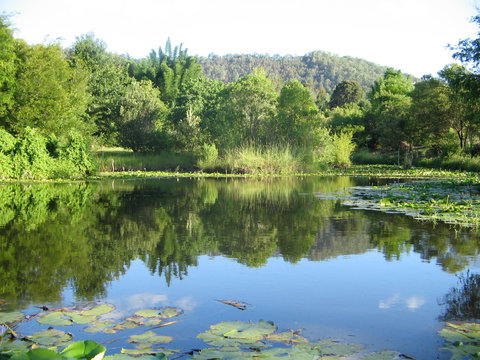 Djanbung Permaculture Gardens - 1 Gold Coast 10