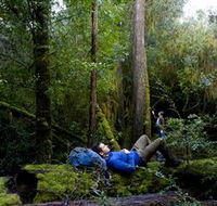 The Tarkine Drive - Accommodation Gold Coast