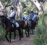 Mirravale Horse Riding School - Accommodation Gold Coast