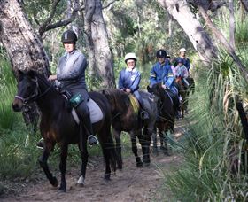 Mirravale Horse Riding School - Accommodation Gold Coast 0