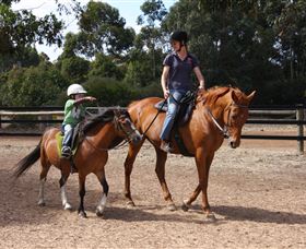 Mirravale Horse Riding School - Accommodation Gold Coast 1