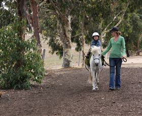 Mirravale Horse Riding School - Accommodation Gold Coast 2